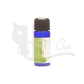 Aromatherapie Aloe Vera Duschgel von Styx Naturcosmetic 30 ml