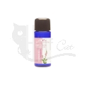Aromatherapie Eisenkraut Duschgel von Styx Naturcosmetic 30 ml