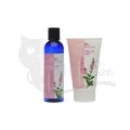 Aromatherapie Eisenkraut SET von Styx Naturcosmetic