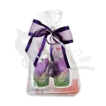 Salvia Tonic und Salvia Lotion Geschenkset von Martina Gebhardt Naturkosmetik